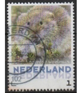 3013 Zoogdieren Noordse woelmuis (o)