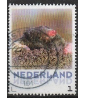 3013 Zoogdieren Mol (o)