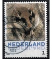 3013 Zoogdieren Eikelmuis (o)