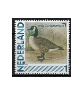 2791Aa 19 grote Canadese gans (o)