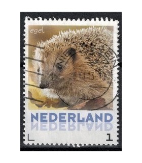 3013 Zoogdieren Egel (o)