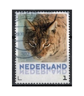 3013 Zoogdieren Lynx (o)