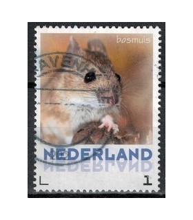 3013 Zoogdieren Bosmuis (o)