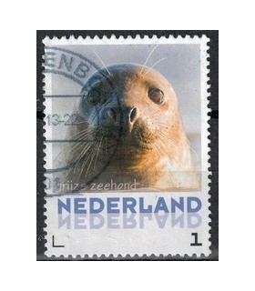 3013 Zoogdieren grijze Zeehond (o)